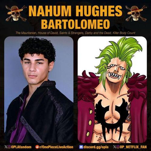 真人版海贼王演员表,众星云集，揭秘演员阵容背后的故事