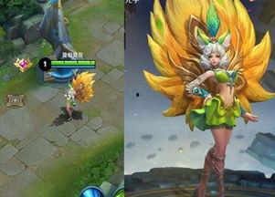 网红妲己被骗,网络诈骗背后的陷阱与教训