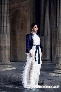 田金凤个人资料,才华横溢的艺术家，人生轨迹与成就综述